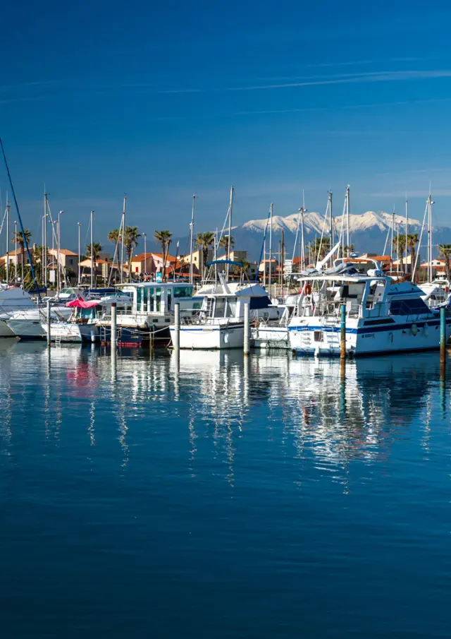 Port de plaisance animé avec voiliers et bateaux amarrés à quai, sous un ciel bleu limpide, avec en arrière-plan les montagnes enneigées du Canigó.
