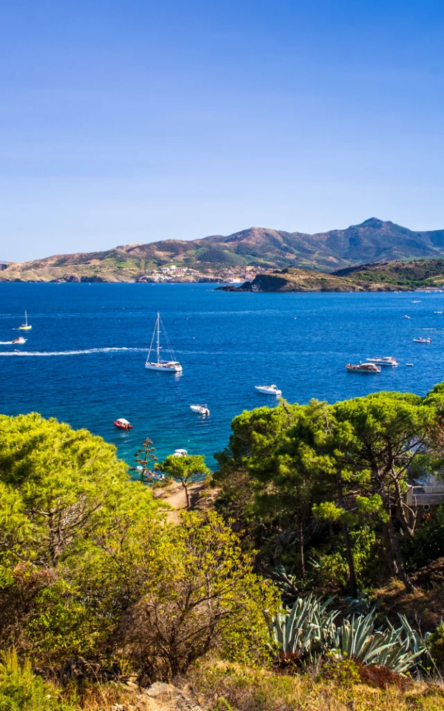Vue panoramique sur la Côte Vermeille depuis les hauteurs, avec la mer Méditerranée d’un bleu profond, des voiliers au mouillage et les collines verdoyantes plongeant dans la mer.