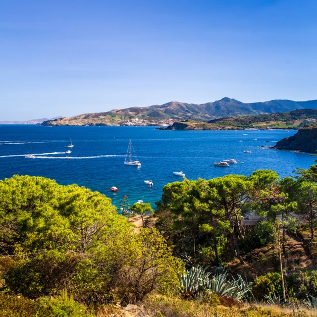 Vue panoramique sur la Côte Vermeille depuis les hauteurs, avec la mer Méditerranée d’un bleu profond, des voiliers au mouillage et les collines verdoyantes plongeant dans la mer.