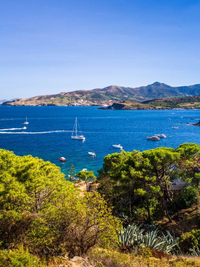 Vue panoramique sur la Côte Vermeille depuis les hauteurs, avec la mer Méditerranée d’un bleu profond, des voiliers au mouillage et les collines verdoyantes plongeant dans la mer.