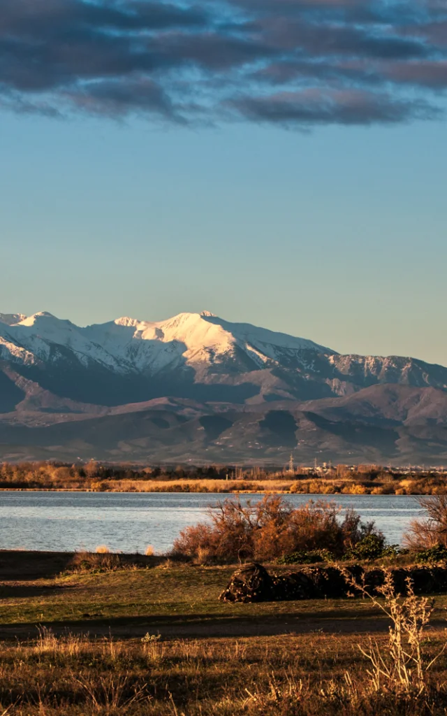 Vue sur une cabane traditionnelle en roseaux au bord d’un étang, avec en arrière-plan le Canigó enneigé sous la lumière dorée du soir.