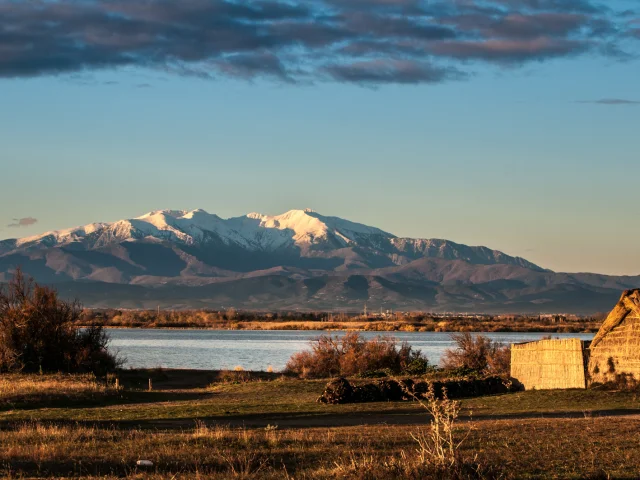 Vue sur une cabane traditionnelle en roseaux au bord d’un étang, avec en arrière-plan le Canigó enneigé sous la lumière dorée du soir.