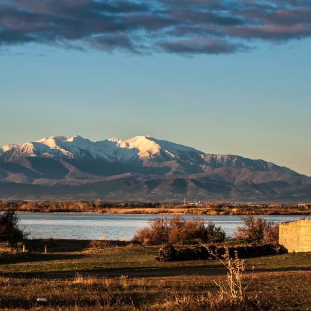 Vue sur une cabane traditionnelle en roseaux au bord d’un étang, avec en arrière-plan le Canigó enneigé sous la lumière dorée du soir.