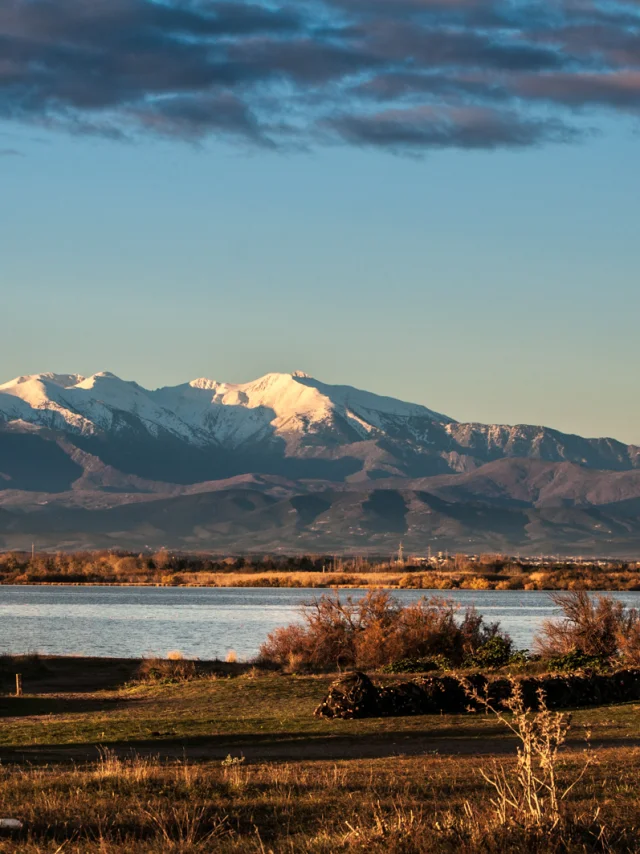 Vue sur une cabane traditionnelle en roseaux au bord d’un étang, avec en arrière-plan le Canigó enneigé sous la lumière dorée du soir.