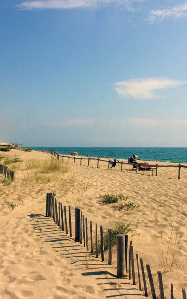 Plage naturelle de Torreilles bordée de dunes et de ganivelles en bois, avec quelques promeneurs et vacanciers face à la mer Méditerranée.
