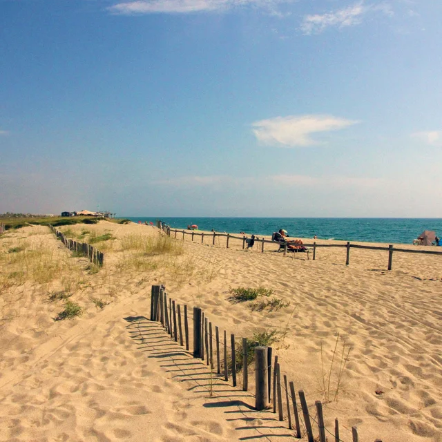 Plage naturelle de Torreilles bordée de dunes et de ganivelles en bois, avec quelques promeneurs et vacanciers face à la mer Méditerranée.