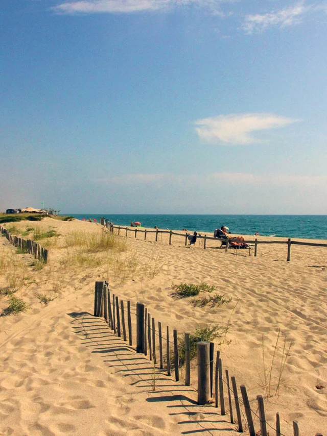 Plage naturelle de Torreilles bordée de dunes et de ganivelles en bois, avec quelques promeneurs et vacanciers face à la mer Méditerranée.