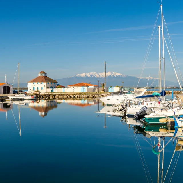 Port de plaisance paisible aux eaux calmes, avec voiliers amarrés et le Canigó enneigé en arrière-plan sous un ciel bleu.