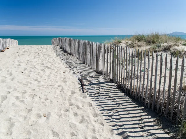 Chemin sablonneux bordé de ganivelles menant à la plage, avec la mer turquoise et le ciel bleu en arrière-plan.