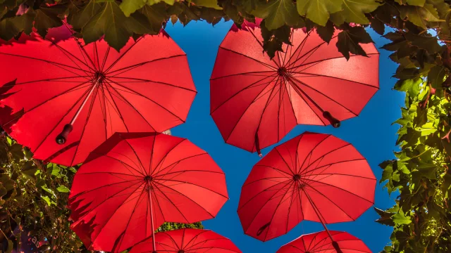Parapluies rouges suspendus au-dessus d’une rue décorée, formant un toit coloré contrastant avec le ciel bleu et le feuillage vert environnant.