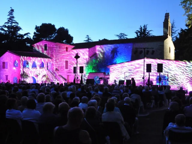 Spectacle nocturne en plein air projeté sur les façades illuminées d’un bâtiment en pierre, devant un public rassemblé dans les Pyrénées-Orientales.