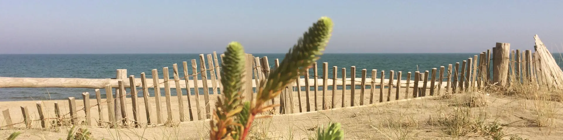 Plage naturelle de Torreilles avec dunes de sable, végétation maritime et barrière en bois face à la Méditerranée sous un ciel clair.