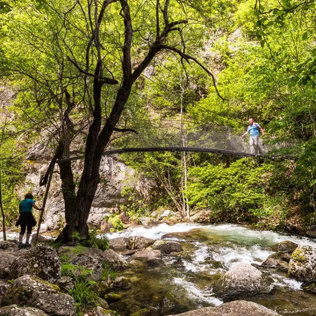 Deux randonneurs traversent un pont suspendu au-dessus d’un torrent dans les Gorges de la Carança. Le pont métallique s’intègre dans un cadre naturel verdoyant entouré d’arbres et de rochers.