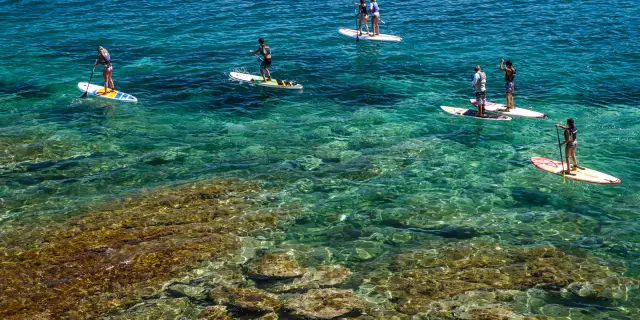 Eine Gruppe von Personen, die auf einem türkisfarbenen und transparenten Meer paddeln, während ein roter Grund zu sehen ist.