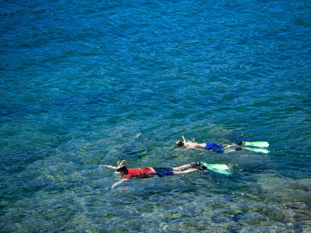 Deux personnes équipées de palmes, masques et tubas nagent côte à côte dans une eau turquoise et transparente, près du rivage de la plage de Paulilles.