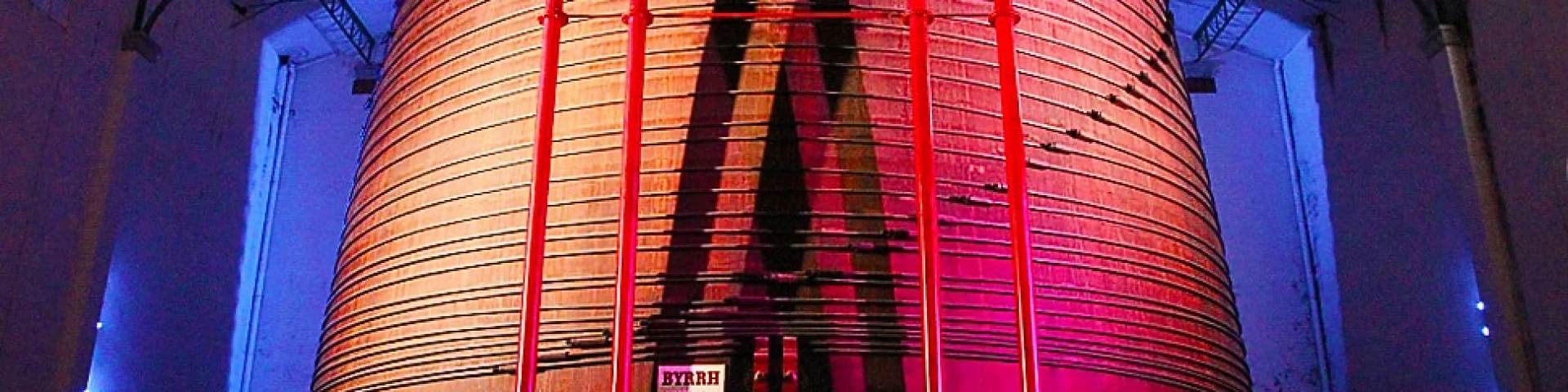 Vue impressionnante de la plus grande cuve en chêne du monde à la Cave Byrrh de Thuir, illuminée de couleurs vives, avec une personne au premier plan soulignant l’échelle monumentale du lieu.