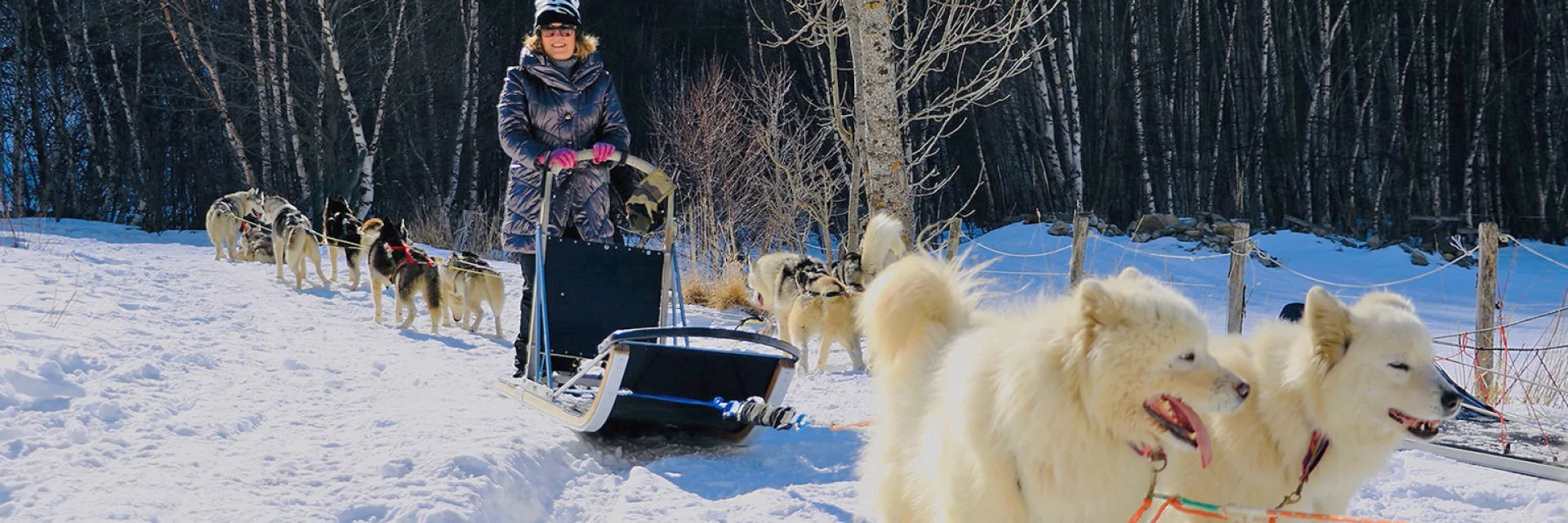 Balade en traîneau à chiens dans la neige, conduite par une femme souriante entourée d’un attelage de huskys et de samoyèdes.