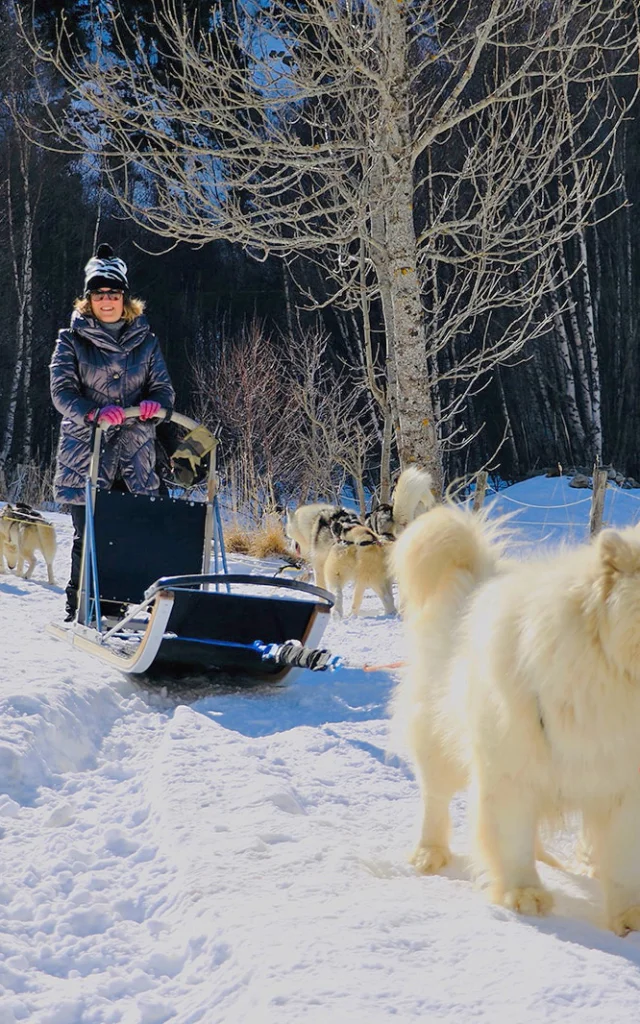 Balade en traîneau à chiens dans la neige, conduite par une femme souriante entourée d’un attelage de huskys et de samoyèdes.