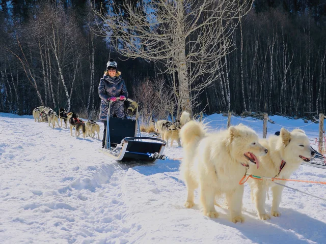 Balade en traîneau à chiens dans la neige, conduite par une femme souriante entourée d’un attelage de huskys et de samoyèdes.