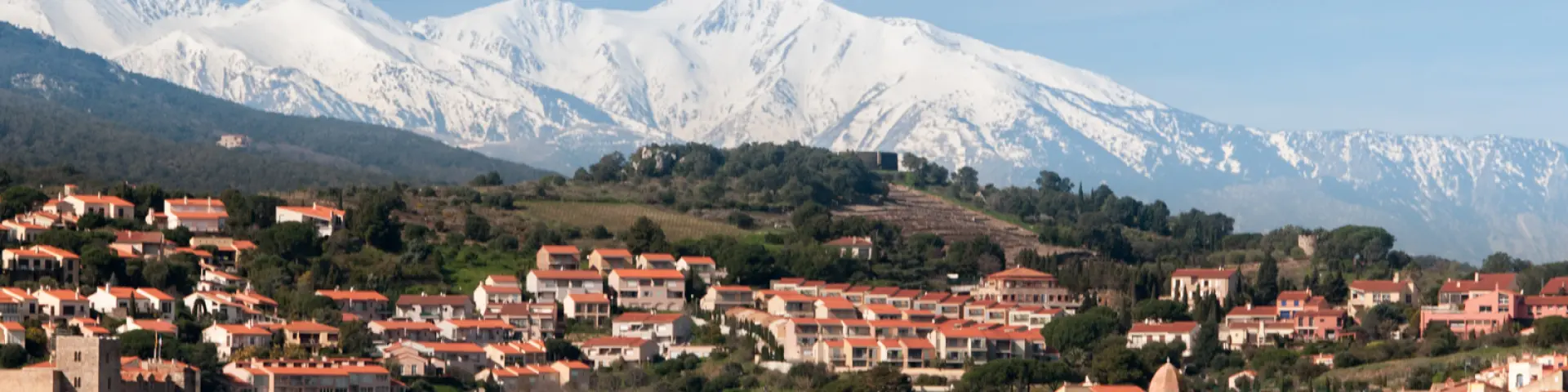 Vue sur Collioure et son clocher emblématique, avec les toits aux tuiles rouges du village et le massif du Canigó enneigé en arrière-plan.
