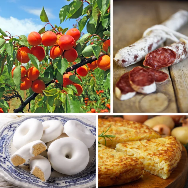 Composition d’un déjeuner catalan comprenant des abricots mûrs, du saucisson sec, des rousquilles glacées et une omelette dorée sur une table en bois.