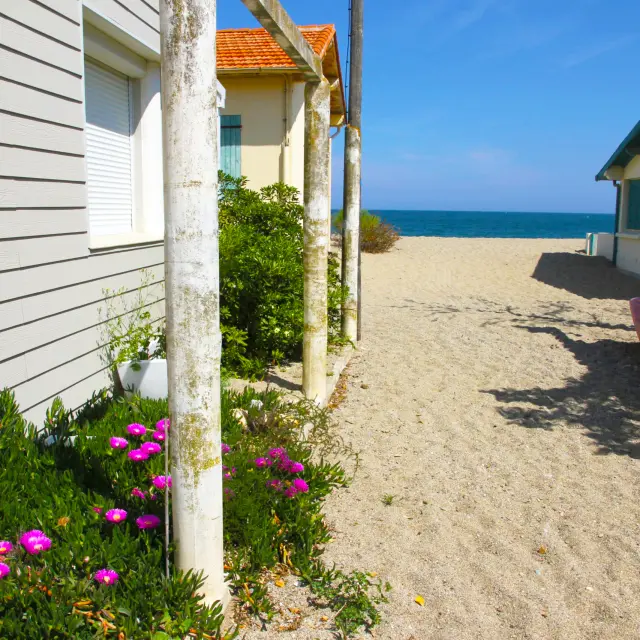 Chemin sablonneux entre deux maisons menant à la plage du Racou à Argelès-sur-Mer, avec quelques fleurs colorées et la mer visible à l’horizon.