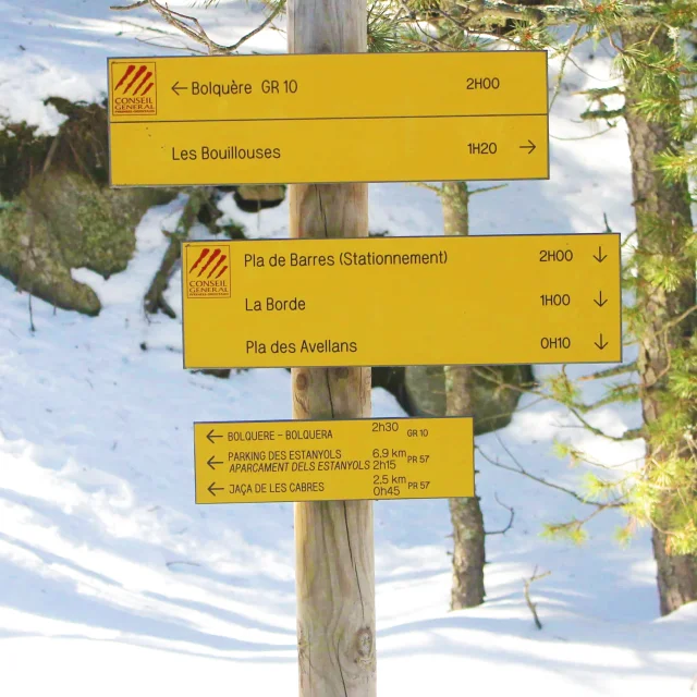 Panneau de randonnée en bois avec plusieurs flèches jaunes indiquant les directions vers Les Bouillouses, Bolquère, Pla de Barres, La Borde et Pla des Avellans, installé en bord de sentier enneigé au cœur d’une forêt de pins.