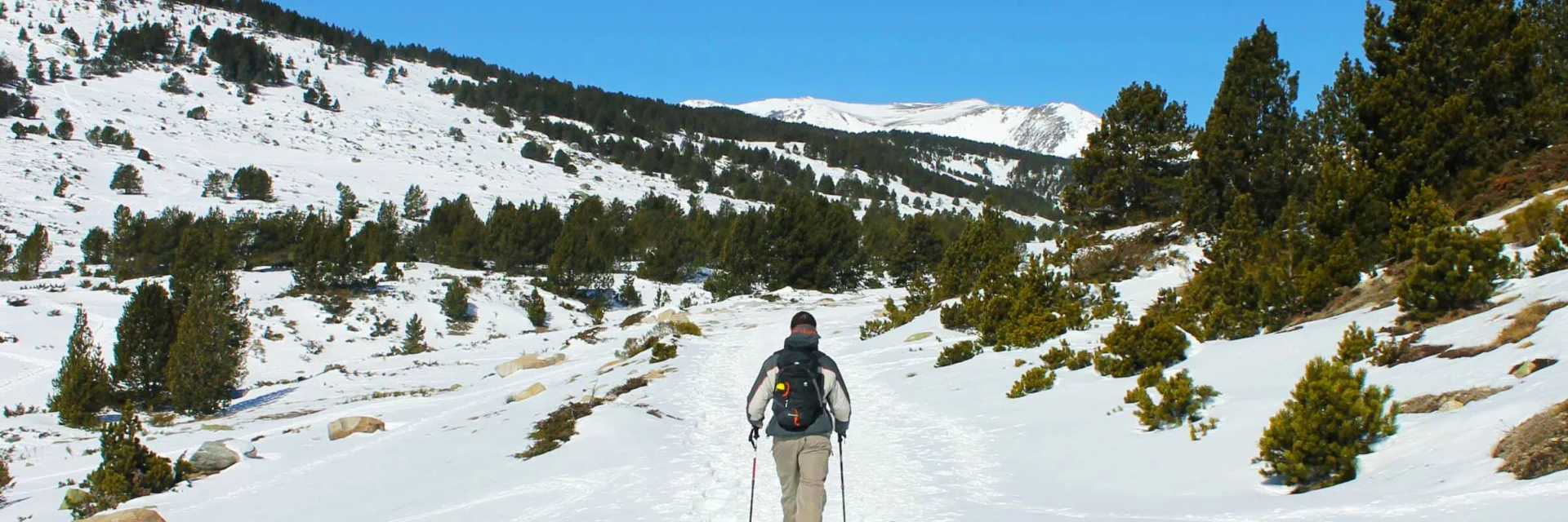 Personne marchant seule en raquettes sur un sentier enneigé du plateau des Bouillouses, entouré de pins et de montagnes sous un ciel bleu limpide.