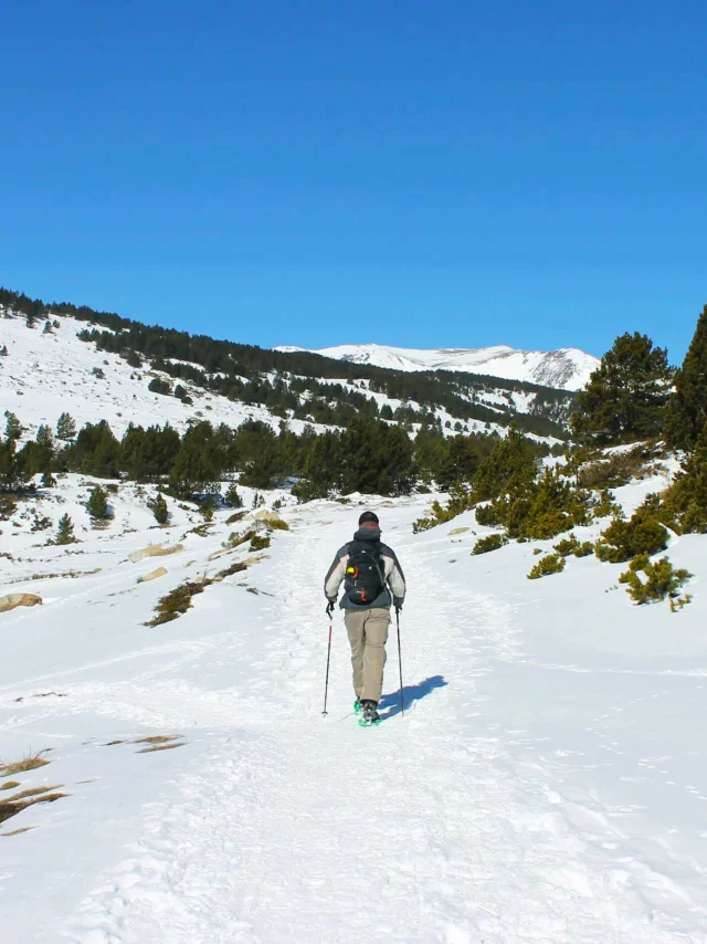 Personne marchant seule en raquettes sur un sentier enneigé du plateau des Bouillouses, entouré de pins et de montagnes sous un ciel bleu limpide.