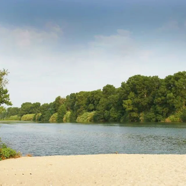 Plage de sable bordée par la végétation verdoyante au bord du Tech, dans la Réserve Naturelle du Mas Larrieu, sous un ciel légèrement voilé.