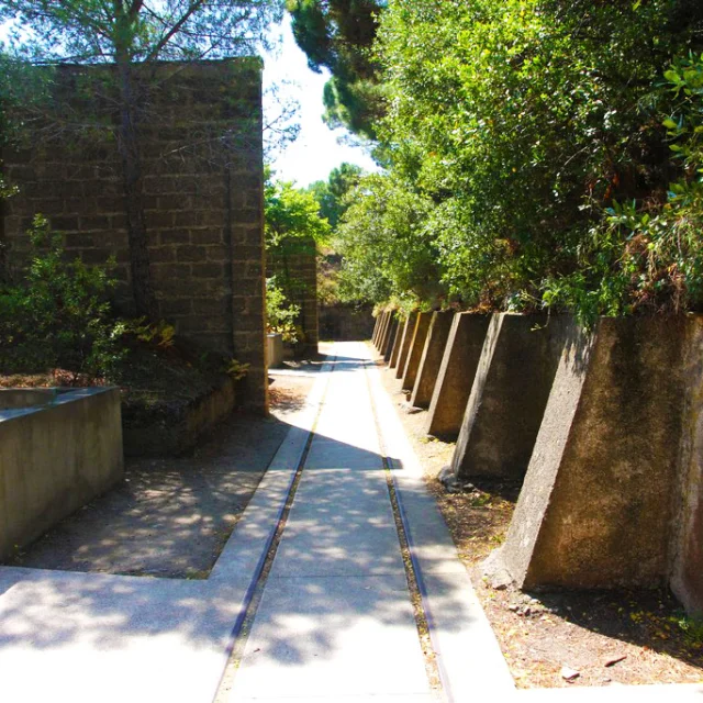 Allée étroite bordée de murs en béton massif et d’anciens vestiges industriels, entourée de végétation dense. La lumière du soleil éclaire le passage, marquant le contraste entre nature et architecture industrielle.