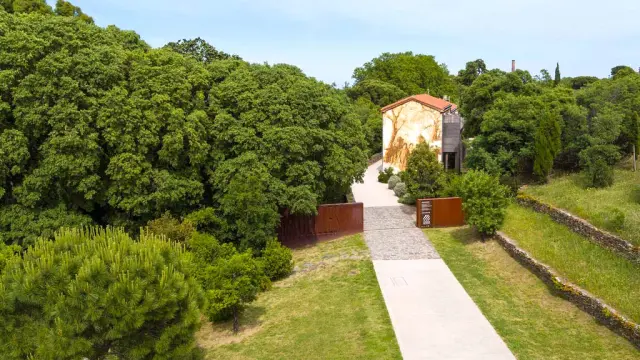 Vue aérienne de l’entrée du site des anciennes dynamiteries Alfred Nobel à Paulilles. Un chemin pavé traverse un espace verdoyant menant à un bâtiment restauré, orné d’une fresque murale représentant des ouvriers du site, entouré d’arbres et de végétation dense.