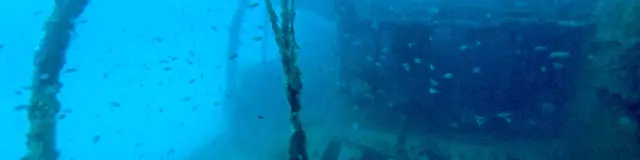 Épave d’un navire reposant sur le fond marin, colonisée par des algues et entourée de petits poissons, dans une eau bleue profonde.