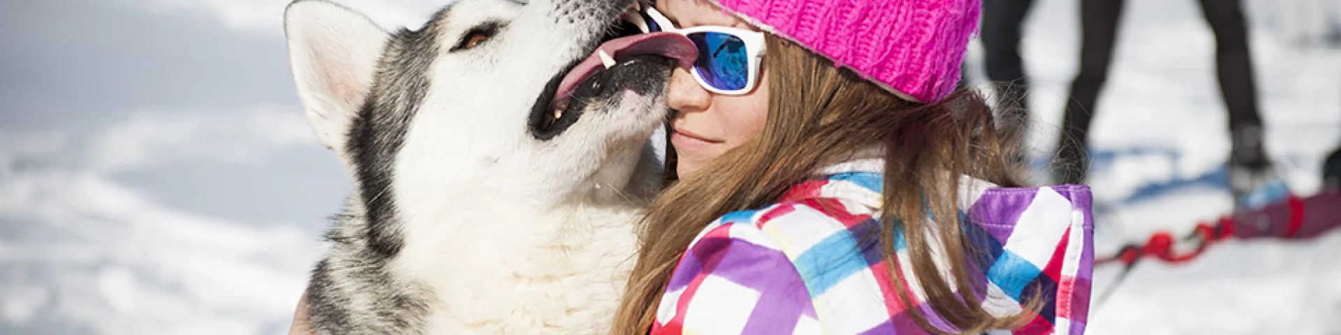 Enfant câlinant un chien de traîneau à la station nordique du Capcir.