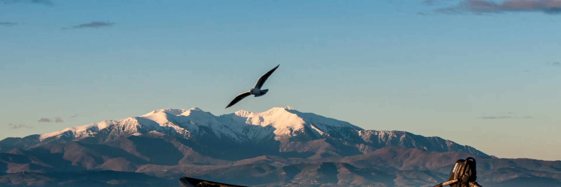 Barque bleue sur l’étang de Canet-Saint-Nazaire avec le Canigó enneigé et un oiseau en vol au-dessus.
