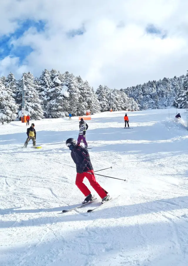 Skieurs et snowboarders sur une piste enneigée bordée de sapins chargés de neige sous un ciel bleu partiellement nuageux.
