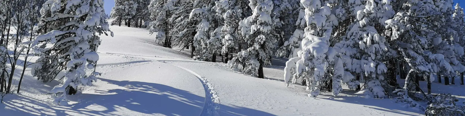 Paysage enneigé avec des traces dans la neige serpentant entre des arbres couverts de givre sous un ciel bleu sans nuages.