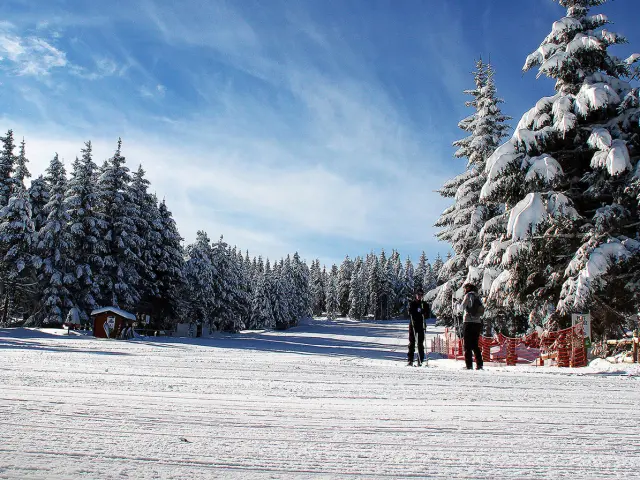 Paysage enneigé de la Station Nordique du Capcir avec des skieurs et des sapins couverts de neige sous un ciel bleu.