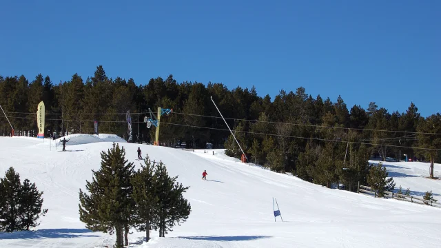 Skieurs sur une piste ensoleillée à la station de La Quillane, entourée de pins.