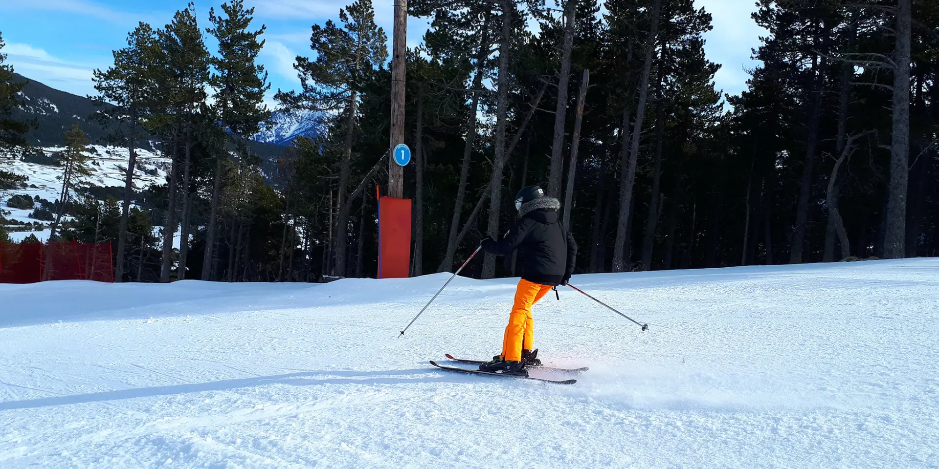 Skieur descendant une piste enneigée bordée de sapins sous un ciel bleu.