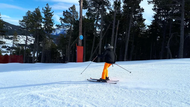 Skieur descendant une piste enneigée bordée de sapins sous un ciel bleu.