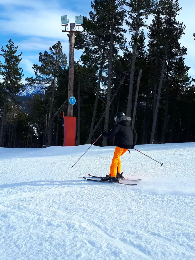 Skieur descendant une piste enneigée bordée de sapins sous un ciel bleu.