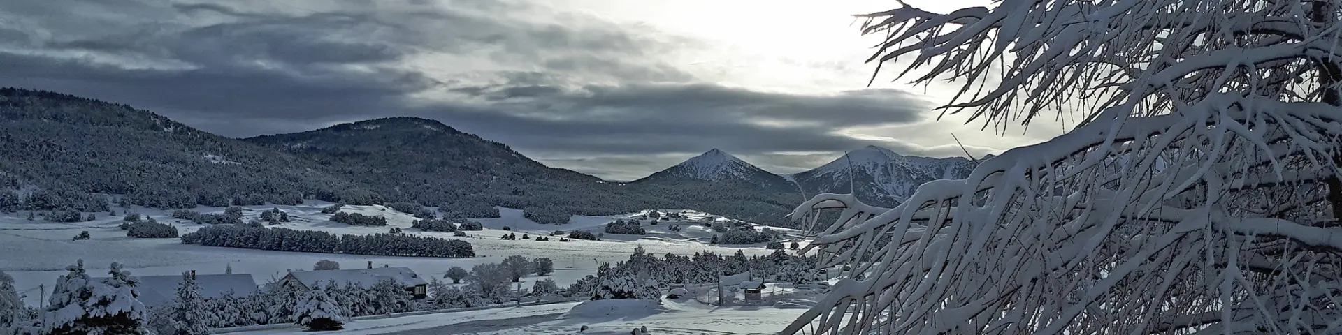 Paysage de montagne enneigé sous un ciel nuageux, avec un arbre givré au premier plan.