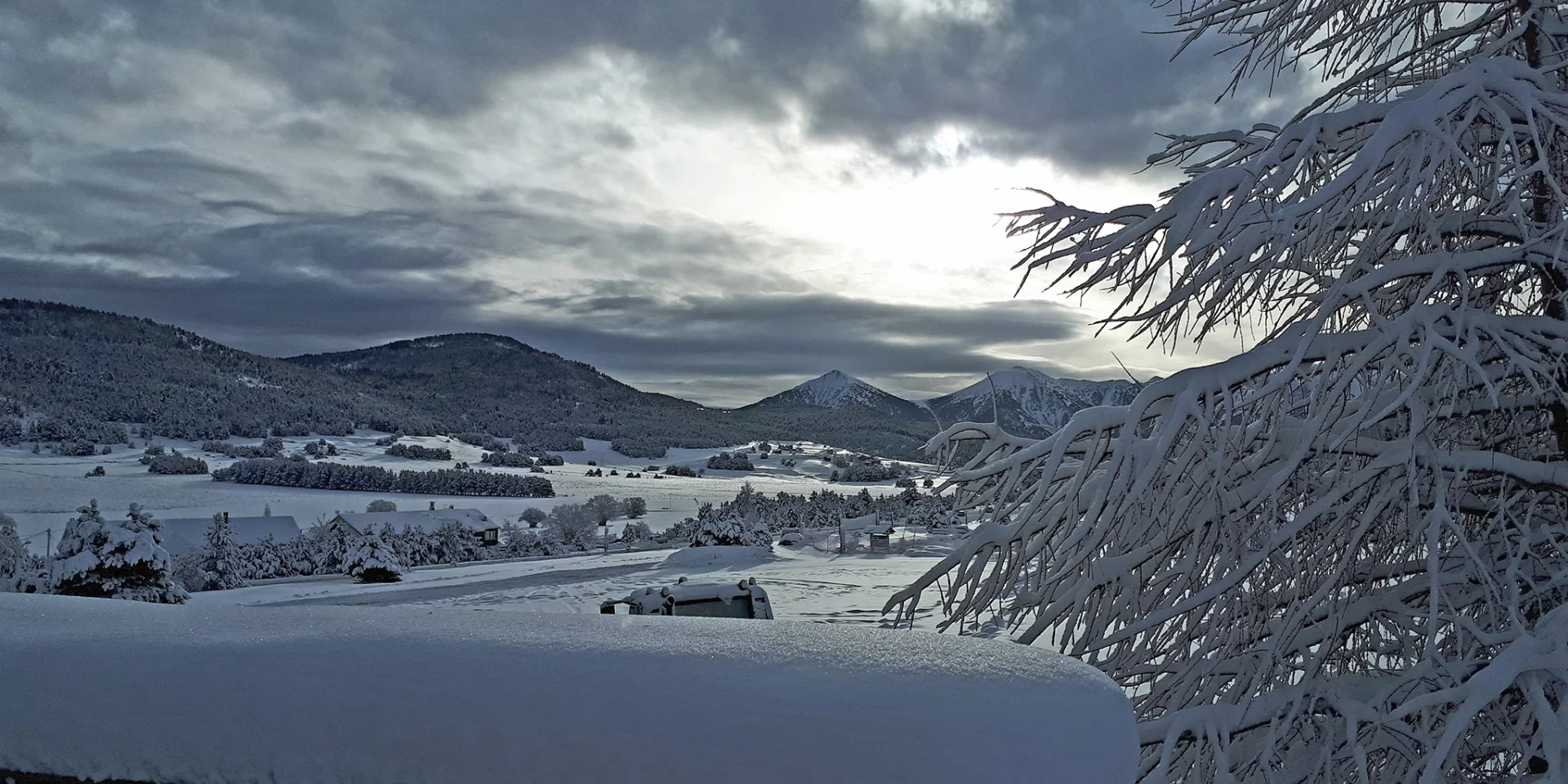 Paysage de montagne enneigé sous un ciel nuageux, avec un arbre givré au premier plan.