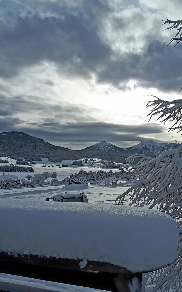 Paysage de montagne enneigé sous un ciel nuageux, avec un arbre givré au premier plan.