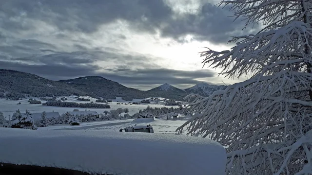 Paysage de montagne enneigé sous un ciel nuageux, avec un arbre givré au premier plan.