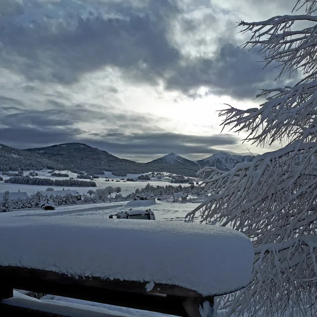 Paysage de montagne enneigé sous un ciel nuageux, avec un arbre givré au premier plan.