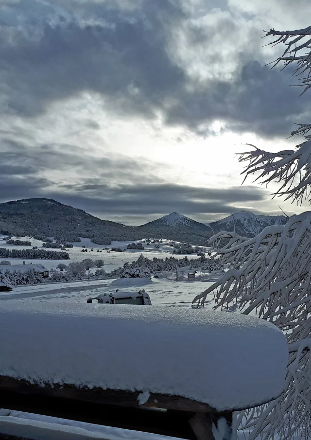 Paysage de montagne enneigé sous un ciel nuageux, avec un arbre givré au premier plan.