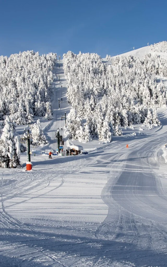 Vue sur les pistes enneigées de la station des Angles, bordées de forêts de sapins sous un ciel bleu dégagé.