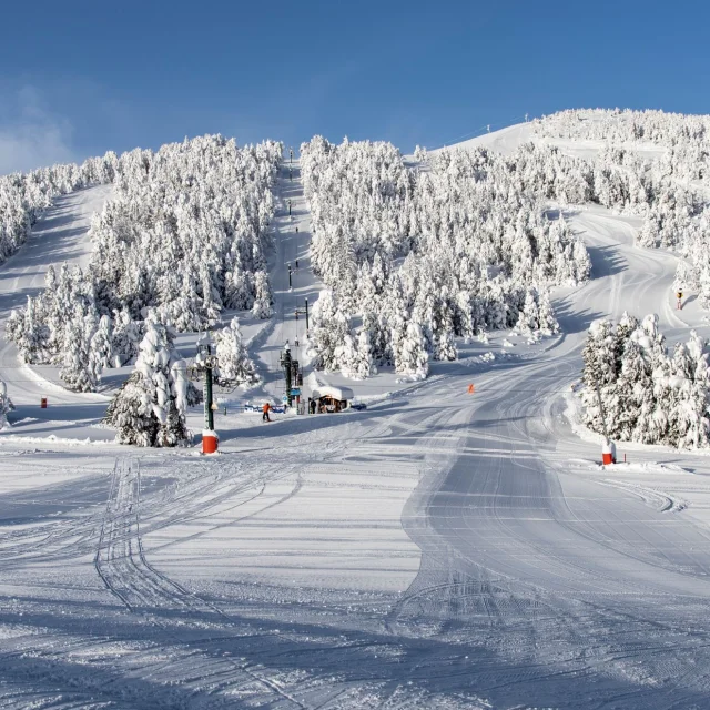 Vue sur les pistes enneigées de la station des Angles, bordées de forêts de sapins sous un ciel bleu dégagé.